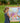 STABILO Aquacolor Watercolour Pencils 36 Colours for Children Hexagonal