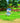 Nintendo Switch Pokémon Shining Pearl Video Game Italian Standard Edition
