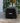 Ninja Woodfire Custodia per Forno da Esterno OO101 XSKOCVREUK, Poliestere 300D, Impermeabile, 50x42x38 cm, Nero