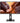 Monitor V7 L270QC-HAS 27" QuadHD IPS 100Hz Nero per Ufficio HDMI DisplayPort