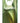 Motorola edge 60 Smartphone 6.67" 256GB 50MP 5G Android 15 Shamrock Green