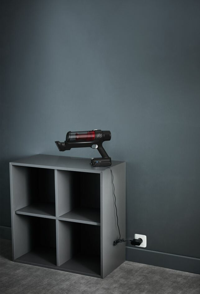 Rowenta X-Pert 7.60 RH6A71 Aspirapolvere a Bastone 2in1 Senza Sacchetto Rosso 45min