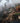 Clair Obscur Expedition 33 PS5 RPG Pre-order BANDAI NAMCO Release 24/04/2025 PEGI 18