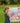 STABILO Aquacolor Watercolour Pencils 36 Colours for Children Hexagonal