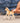 Schleich Horse Club Cavallo Action Figure Beige e Marrone Statuina Giocattolo 5-12 anni