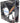 CHIEFTEC AF-0925S VENTILADOR 90X90X25MM 3 PIN/MOLEX Multicolor