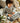 Casio SA-51 Tastiera Digitale 32 Tasti per Bambini con LCD - Nero