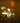 Diablo III Eternal Collection per Xbox One - Videogioco Azione RPG con DLC Activision