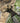 Battlefield 2042 Xbox Series X FPS Multiplayer Video Game 128 Players PEGI 16