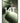 Xiaomi 14 T Smartphone 6.67" 5G 12GB 256GB Verde - Fotocamera 50MP Batteria 5000mAh