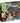 Clementoni Archeogiocando T-Rex 2in1 Gioco Scientifico Fossili Dinosauri Kit Archeologo