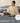 Imetec CaldoPlaid 26031 Coperta Elettrica Riscaldabile Grigia 160x120cm 6 Livelli