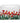 RGV Accessorio affettatore motivo tulipani per modelli 195/220/250 multicolore