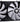 itek EVOLIQ 240 Raffreddatore Liquido All-in-One CPU 250W Socket Universale Nero