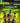 Milestone Monster Energy Supercross 25 Videogioco Xbox Series X Day One Edition 2025