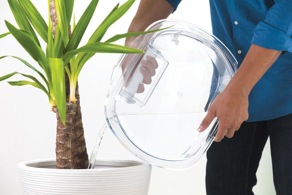 Candy Asciugatrice 9 kg A++ Pompa di Calore Wi-Fi CSOE H9A2DE-S Caricamento Frontale