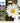 Epson Daisy T18 Multipack Cartucce Inchiostro Claria Home Nero Ciano Magenta Giallo