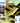 Epson Multipack 16 Cartucce Inchiostro Originali 4 Colori per WF-2000 Series