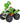 Carrera Quadriciclo RC Yoshi Mario Kart 1:20 Elettrico 2.4GHz Verde 6+ Anni